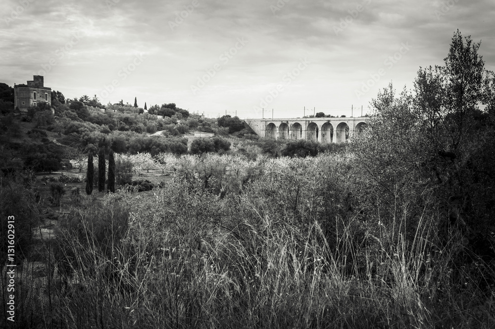 Ponte Lama, Bisceglie Trani, Puglia