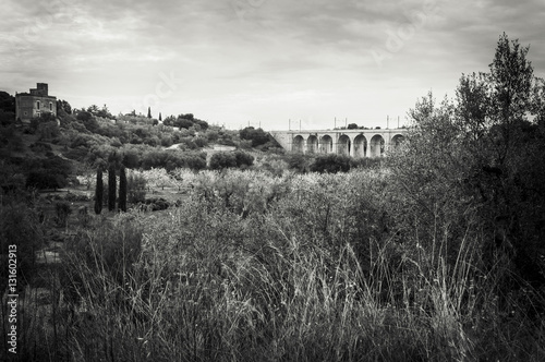Foto Ponte Lama, Bisceglie Trani, Puglia