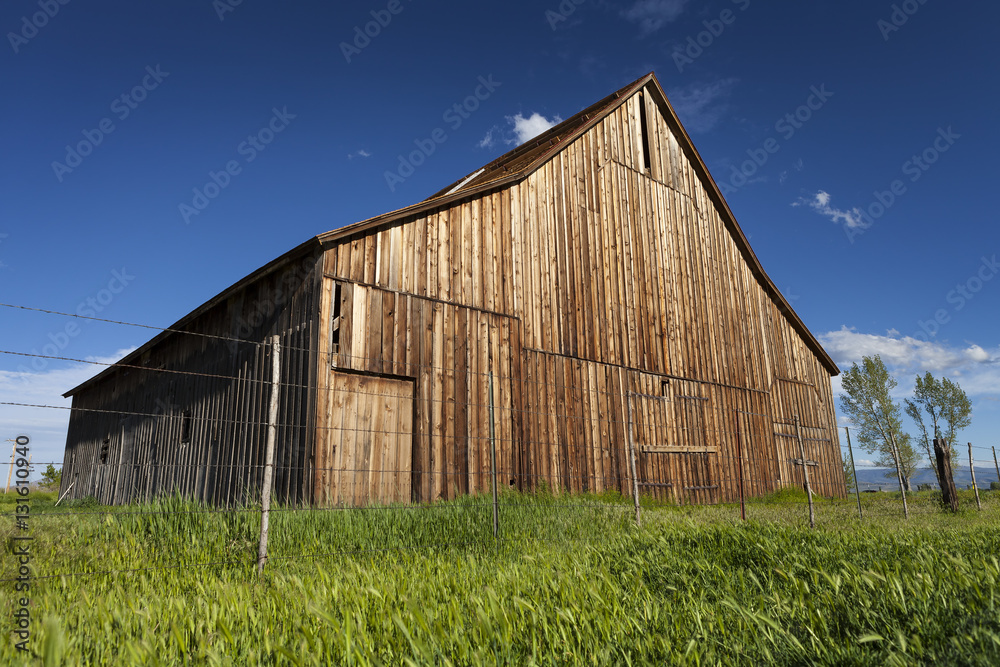 Old vintage barn on ranch with blue sky and green grass.
