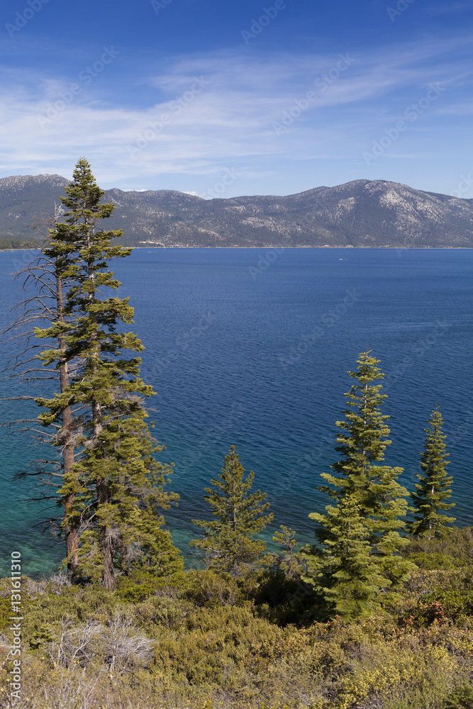 Obraz premium Lake Tahoe California with beautiful blue sky and water. Forested shoreline.