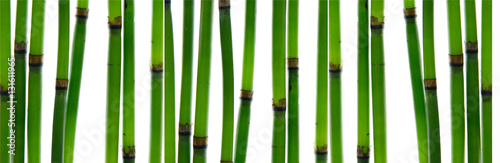Thin bamboo sticks,