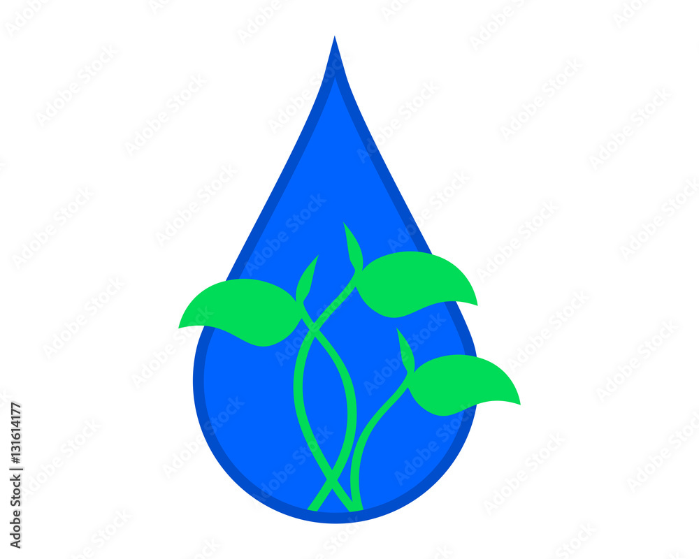Fototapeta premium sprout droplets
