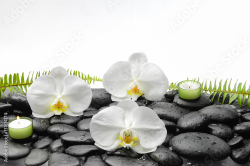 White orchid and candle and fern on black stones