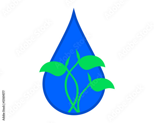 sprout droplets