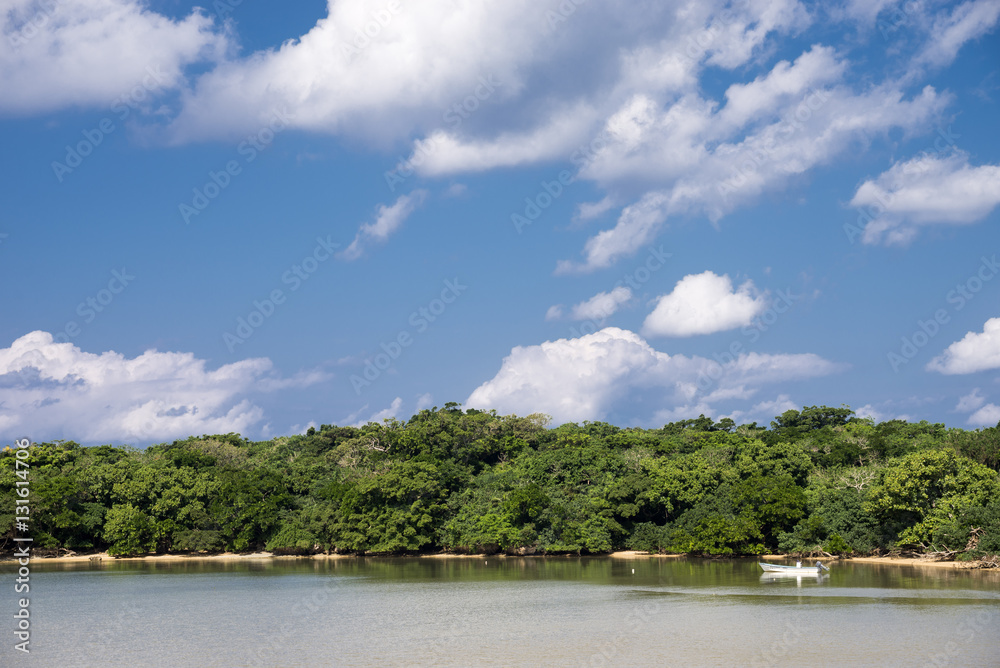 石垣島の吹通川河口からのジャングルと小舟