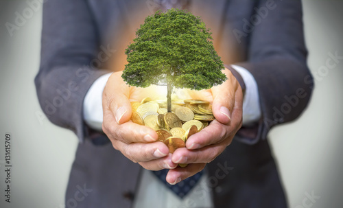 Canvas-taulu Hands holding a tree growing on coins / csr green business / business ethics / g