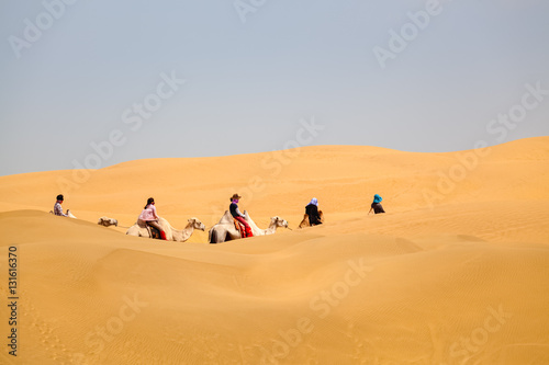 camels caravan in desert