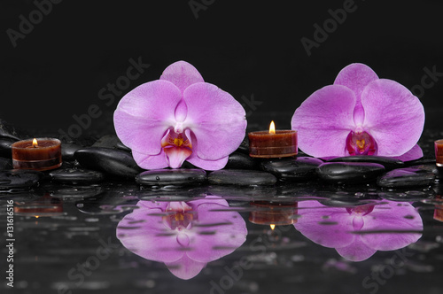 Two orchid and candle on black stones