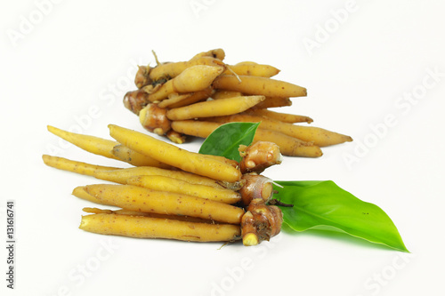 finger root Ingredients for Thai Cuisine on white background