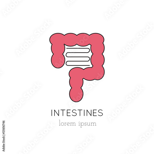 Intestines line icon