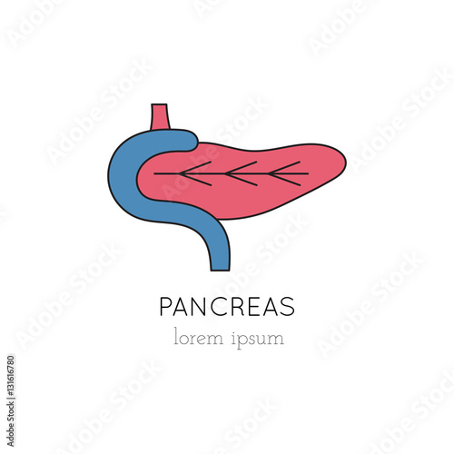 Pancreas line icon
