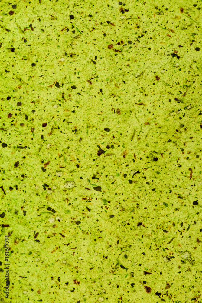 fruit leather fruit leather