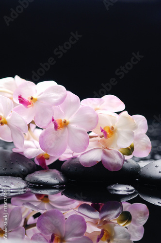 White branch orchid with black stones on wet pebbles 