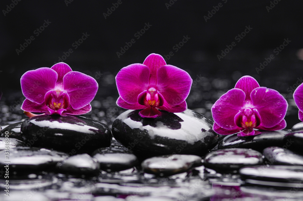 still life with red orchid and black stones  - obrazy, fototapety, plakaty 