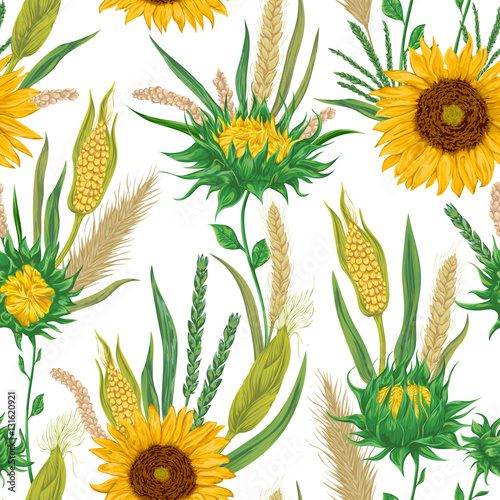 Seamless pattern with cereals and sunflowers. Barley, wheat, rye, corn and millet. Rustic floral background. Vintage vector botanical illustration in watercolor style.
