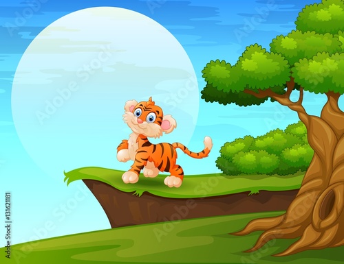 Fototapeta Naklejka Na Ścianę i Meble -  Cartoon tiger smiling near the cliff