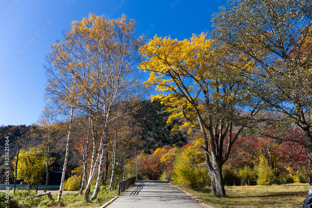 Obraz premium ハイキングコース