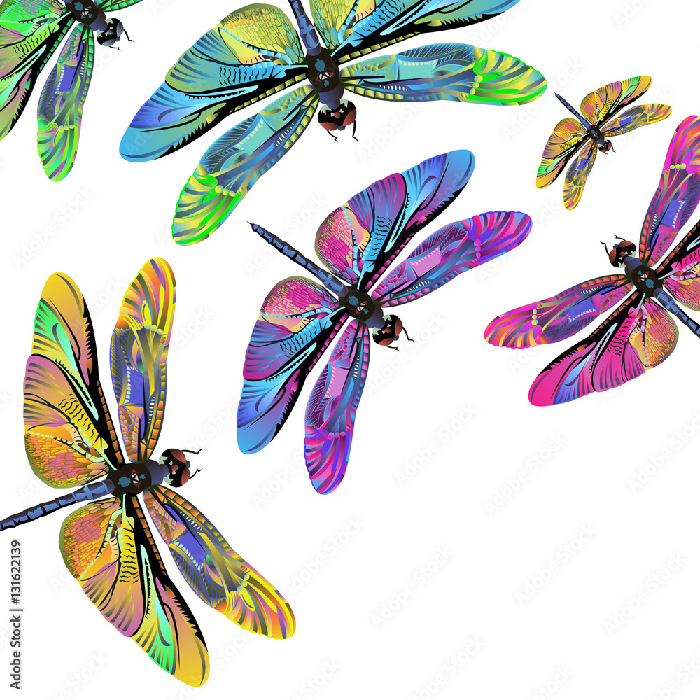 vector color art dragonfly nature wildlife fly