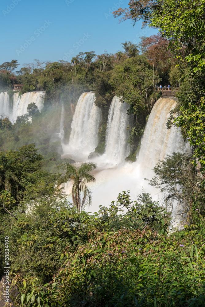 Fototapeta premium Argentinian Side of Iguazu Falls in Misiones Province, Argentina