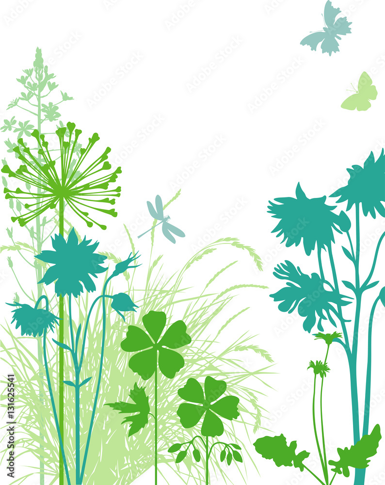 Botany illustration Botany illustration