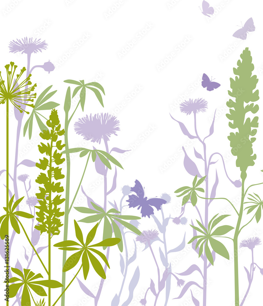 Naklejka premium Lupin flowers