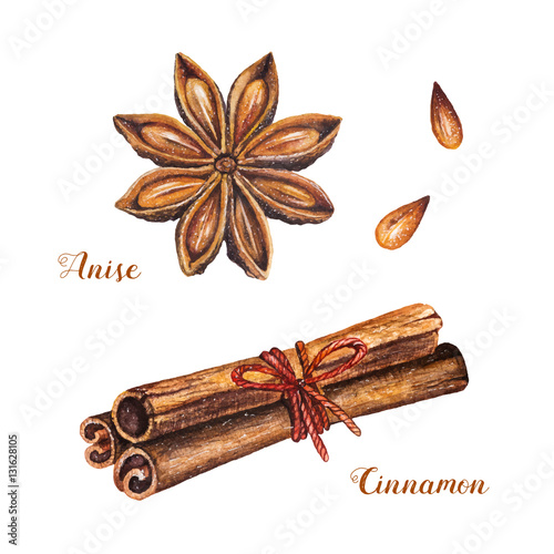 Set of spices with cinnamon sticks and star anise on a white background. Watercolor isolated illustrations set. Vector design by flyer, poster, printing, mailing, invitation, card, menu of cafe