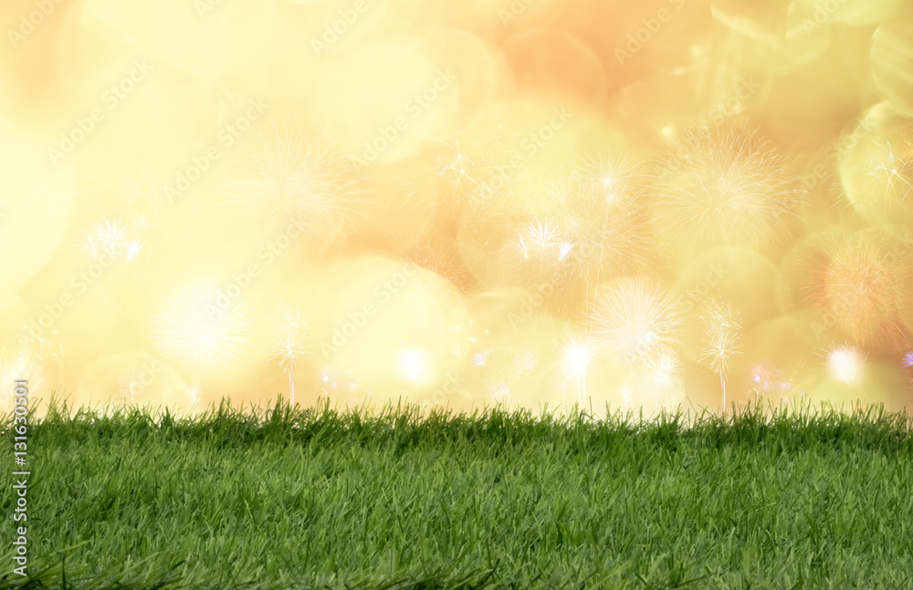 Green grass in front of bokeh lights and sparkle background.