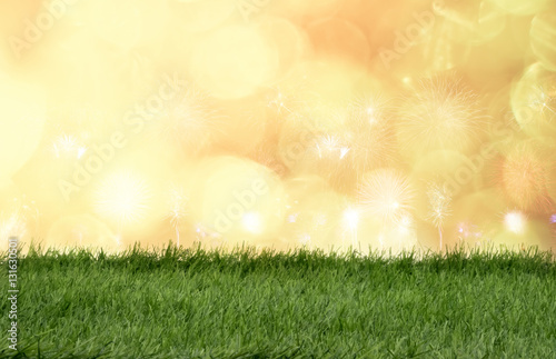 Green grass in front of bokeh lights and sparkle background.