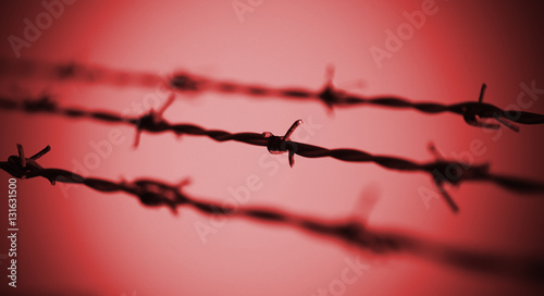 barbed wire and the red background