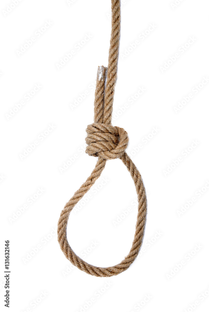 Noose of rope on a white background.