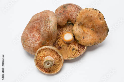Mushrooms raw
