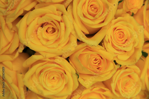 Yellow wedding roses