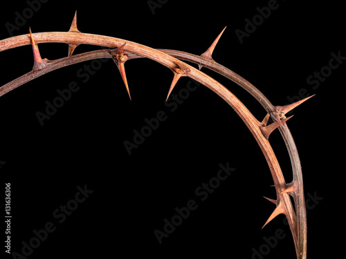 Thorns, isolated, cutout. Crown of thorns, Christian Easter symbol.