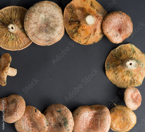 Mushrooms stacked on a black background. photo