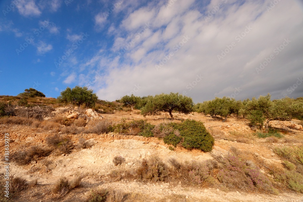 landscape of Crète, Greece 