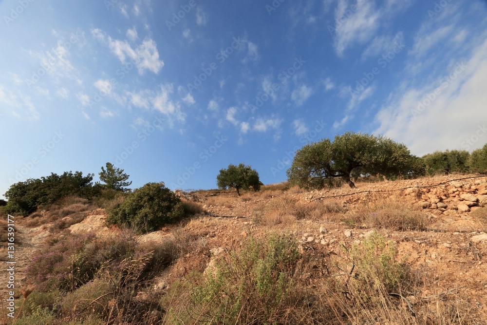 landscape of Crète, Greece 