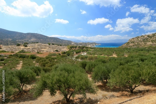 Ruins of Gournia, Crete, Greece