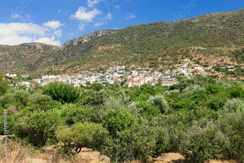 village of Kalo Horio  and his church in Crète , GREECE

