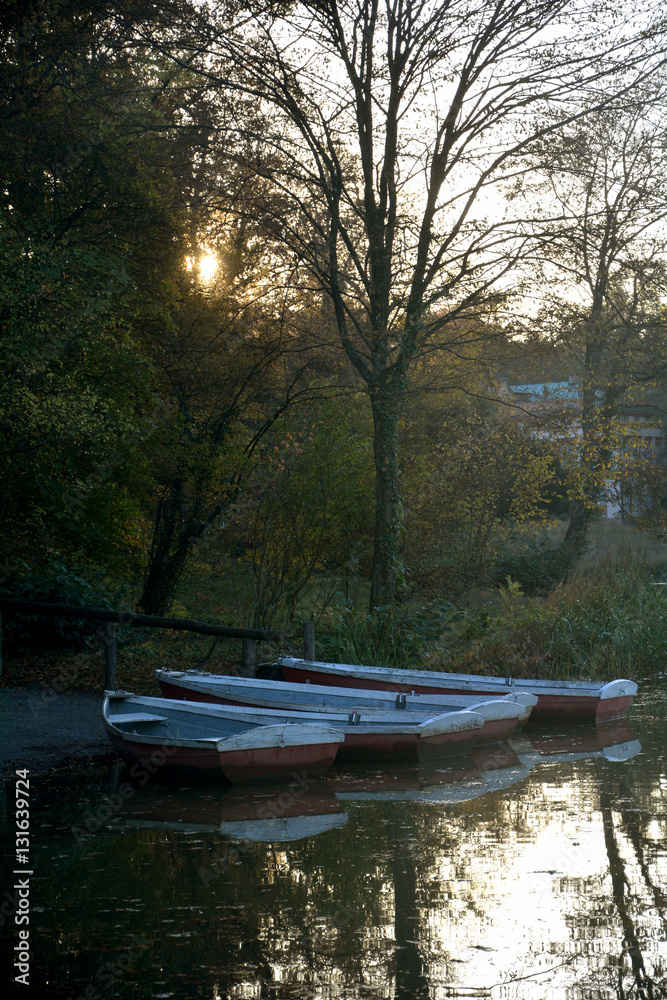Holz - Kanu - Boote liegen am Ufer eines Sees mit  Sonnenuntergang hinter Bäumen