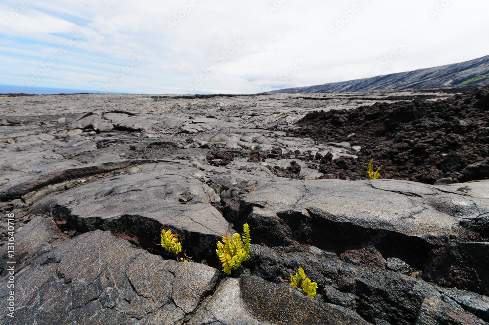 Lava Plateau 溶岩台地 Stock Photo Adobe Stock