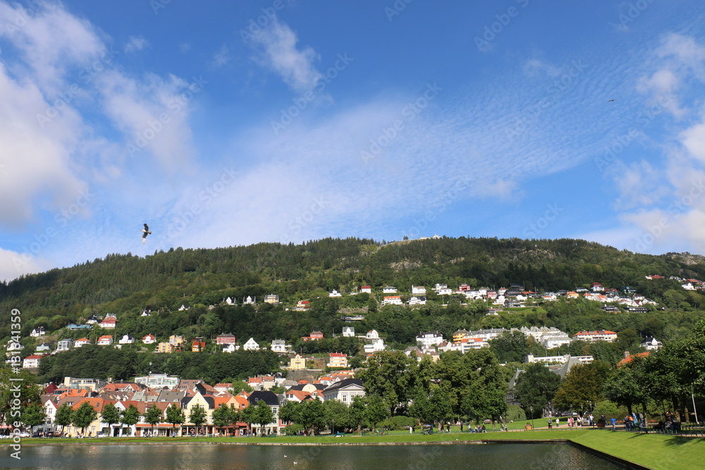 Obraz premium BERGEN, NORWAY, SCANDINAVIA, EUROPE