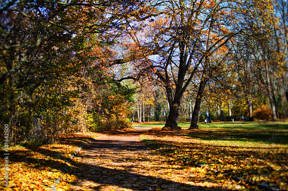 Naklejka premium The park in autumn in Erfurt Germany
