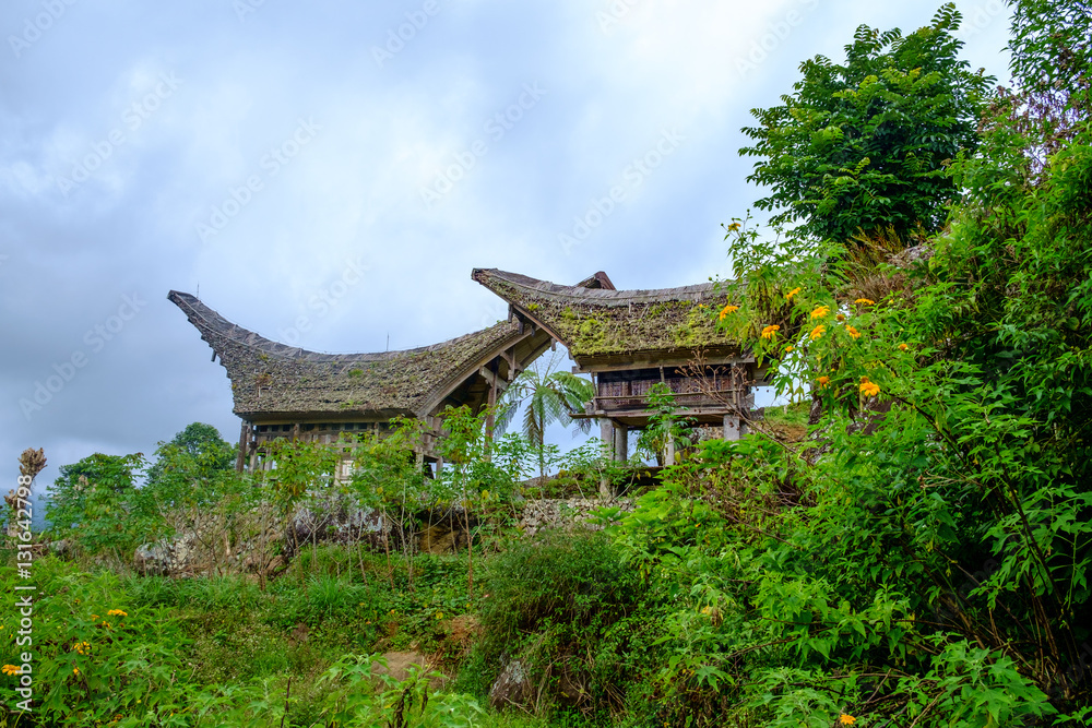 Case Tongkonan, edifici tradizionali dei Toraja