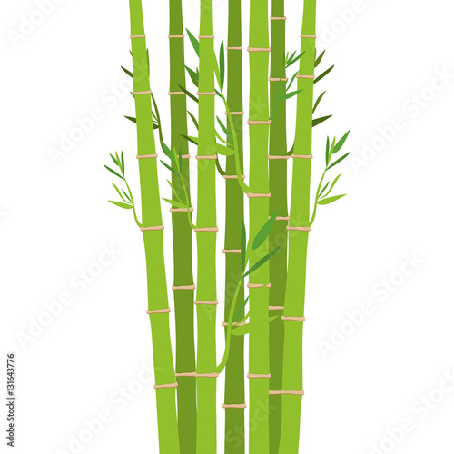 Bamboo icon. Plant nature decoration and asia theme. Isolated design. Vector illustration
