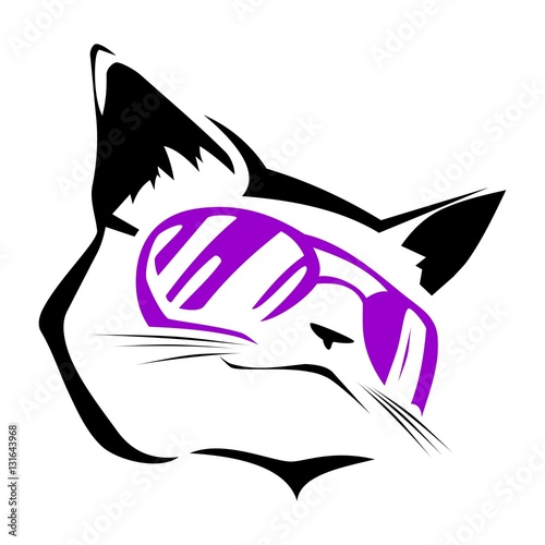 Cat With glasses