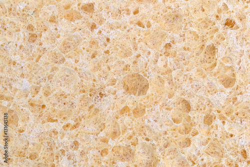 Close view of a cellulose sponge. photo