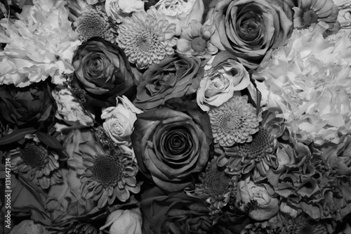Different kind of flowers together in black and white style background for cards