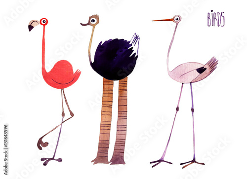 Watercolor bird set. Flamingo,ostrich,stork hand painted illustration