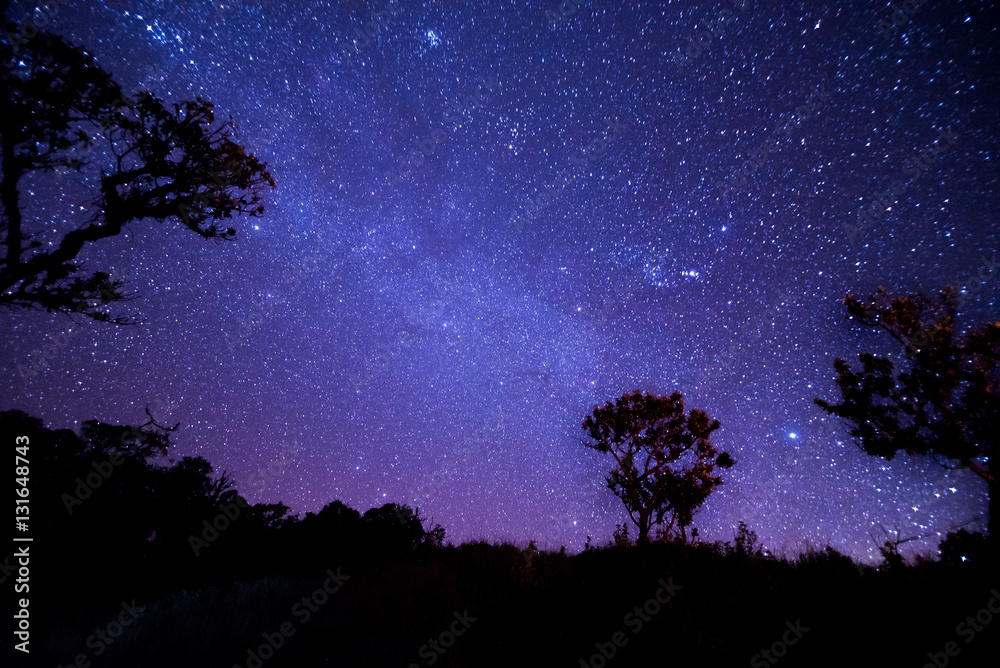 Naklejka premium Night landscape with colorful Milky Way.