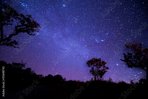 Night landscape with colorful Milky Way.
